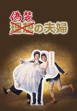 伪装夫妇2015(全集)