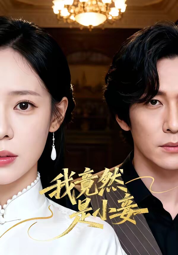 我竟然是小妾 第41集